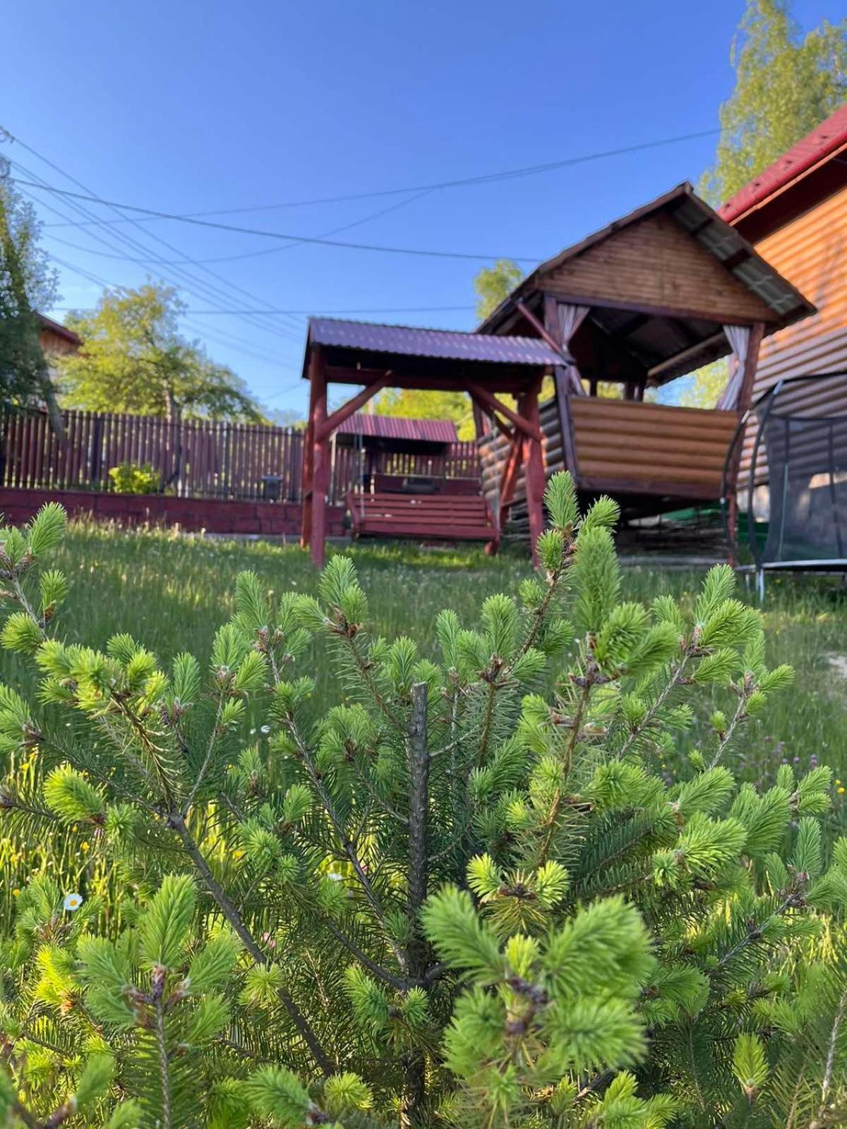 Сімейний Котедж Краєвид Mykulychyn Exterior foto